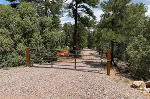 165 Mosswood Dr, Cotopaxi, CO 81223 - Photo 1