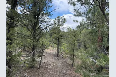 165 Mosswood Drive, Cotopaxi, CO 81223 - Photo 22