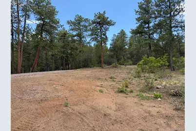 165 Mosswood Drive, Cotopaxi, CO 81223 - Photo 24