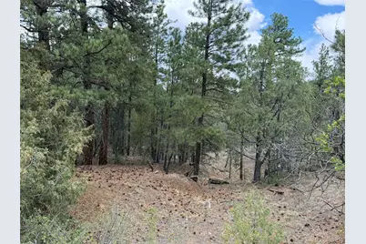 165 Mosswood Drive, Cotopaxi, CO 81223 - Photo 28
