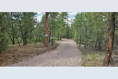 165 Mosswood Drive, Cotopaxi, CO 81223 - Photo 2