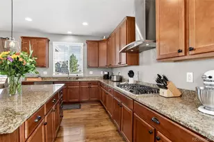 3248 Wild Oak Ct, Castle Rock, CO 80108 - Photo 6