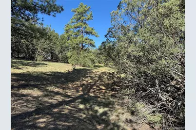 69 Coyote Run Road, Cotopaxi, CO 81223 - Photo 8