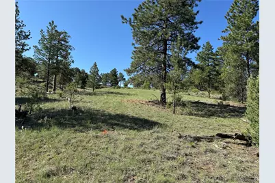 69 Coyote Run Road, Cotopaxi, CO 81223 - Photo 16