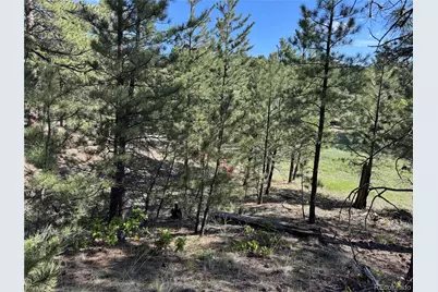 69 Coyote Run Road, Cotopaxi, CO 81223 - Photo 14