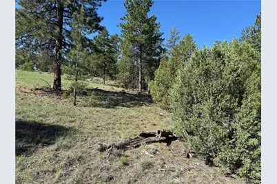 69 Coyote Run Road, Cotopaxi, CO 81223 - Photo 18