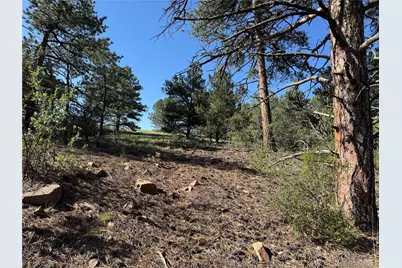 69 Coyote Run Road, Cotopaxi, CO 81223 - Photo 12