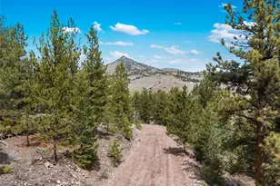 11396 Co Rd 102, Guffey, CO 80820 - Photo 28