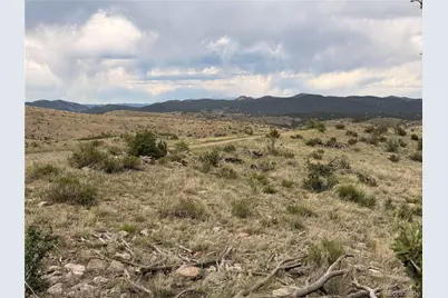 000 Cr 15X, Cotopaxi, CO 81223 - Photo 4