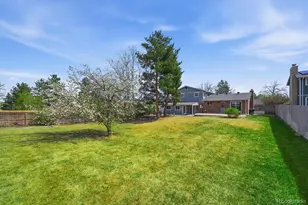 8169 Webster St, Arvada, CO 80003 - Photo 44