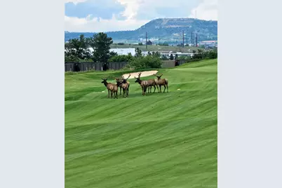 2809 Newport Circle, Castle Rock, CO 80104 - Photo 48