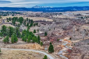 2809 Newport Cir, Castle Rock, CO 80104 - Photo 42