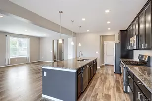 3260 Jonquil St, Castle Rock, CO 80109 - Photo 4