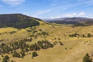 214 Betty Lou Rd, Guffey, CO 80820 - Photo 44