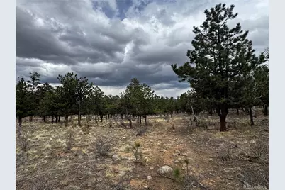 30583 Timberline Drive, Buena Vista, CO 81211 - Photo 6