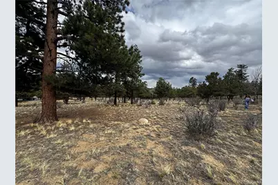 30583 Timberline Drive, Buena Vista, CO 81211 - Photo 10