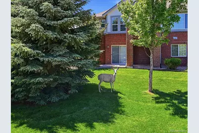 22462 E Alder Drive, Aurora, CO 80016 - Photo 30
