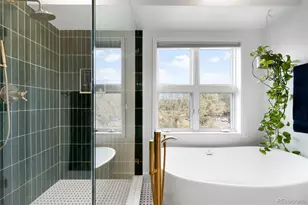 234 S Madison St, Denver, CO 80209 - Photo 18