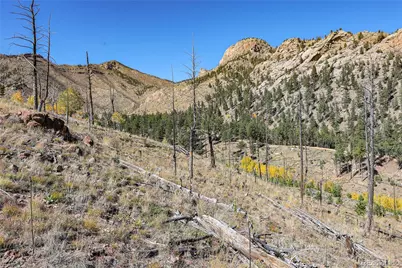13757 13757 S. State Hwy 67, Sedalia, CO 80135 - Photo 6