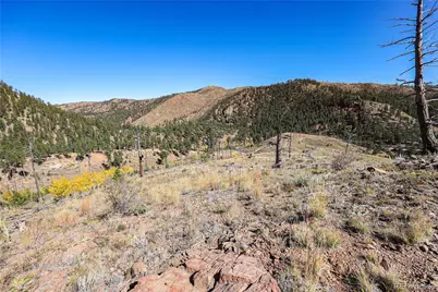 13757 13757 S. State Hwy 67, Sedalia, CO 80135 - Photo 10