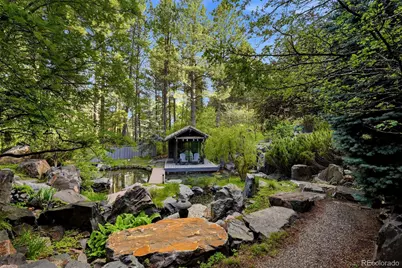 31 Albion Place, Castle Rock, CO 80108 - Photo 22