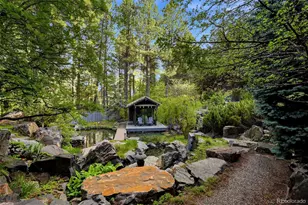 31 Albion Pl, Castle Rock, CO 80108 - Photo 22