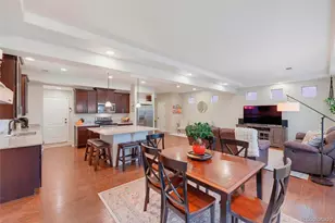 1516 Raindrop Way, Castle Rock, CO 80109 - Photo 10