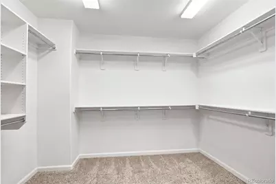 1516 Raindrop Way, Castle Rock, CO 80109 - Photo 24