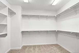 1516 Raindrop Way, Castle Rock, CO 80109 - Photo 24