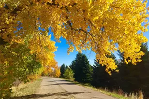 8707 E Florida Ave, Denver, CO 80247 - Photo 48