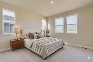 13783 Daffodil Wy, Parker, CO 80134 - Photo 10