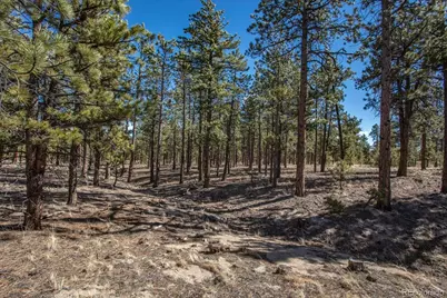 16530 County Road 327, Buena Vista, CO 81211 - Photo 20