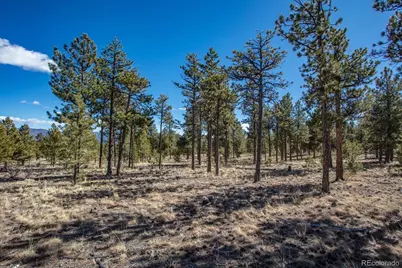 16530 County Road 327, Buena Vista, CO 81211 - Photo 22