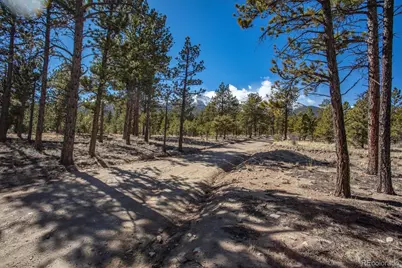 16530 County Road 327, Buena Vista, CO 81211 - Photo 12