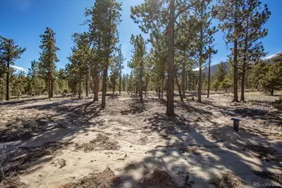 16530 County Road 327, Buena Vista, CO 81211 - Photo 10