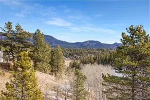 305 Bristlecone Cir, Bailey, CO 80421 - Photo 20