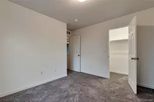 5445 Danube St, Denver, CO 80249 - Photo 22