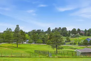 12249 N Pine Vista Trail, Parker, CO 80138 - Photo 42