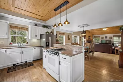 410 Spring Drive, Pine, CO 80470 - Photo 10