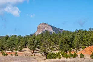 410 Spring Dr, Pine, CO 80470 - Photo 46