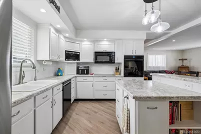 642 Scorpio Drive, Lone Tree, CO 80124 - Photo 10