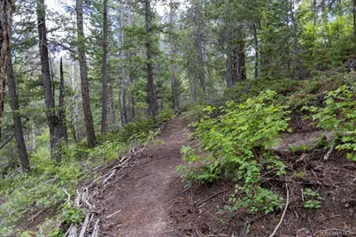 31429 Burke Road, Golden, CO 80403 - Photo 2