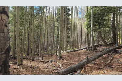 Lot 5244 Crossman Road, Fort Garland, CO 81133 - Photo 20