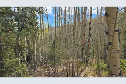 Lot 5244 Crossman Road, Fort Garland, CO 81133 - Photo 22
