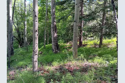 Lot 5244 Crossman Road, Fort Garland, CO 81133 - Photo 10