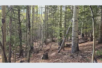 Lot 5244 Crossman Road, Fort Garland, CO 81133 - Photo 14