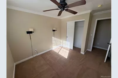 2667 Live Oak Court, Castle Rock, CO 80104 - Photo 10