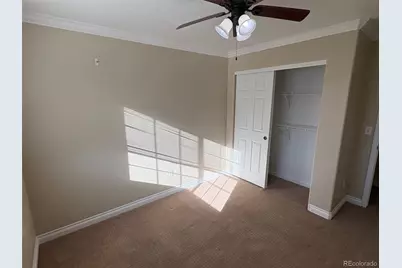 2667 Live Oak Court, Castle Rock, CO 80104 - Photo 8