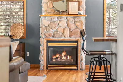 294 Kudu Trail, Bailey, CO 80421 - Photo 10