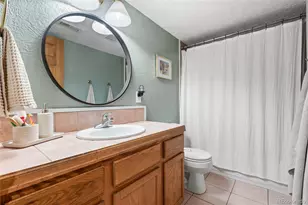 294 Kudu Trail, Bailey, CO 80421 - Photo 28